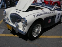 Austin Healey racer.jpg